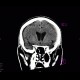 Hemocephalus, subarachonoid hemorrhage, subdural hematoma, brain contusion: CT - Computed tomography