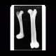 Swine femur, pig: X-ray - Plain radiograph